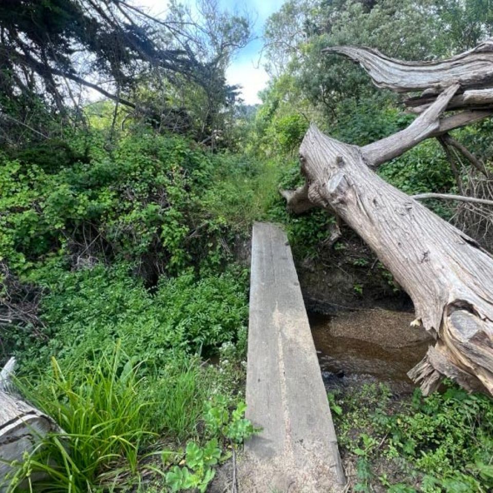 San Vicente Creek watershed